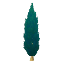 거리교목표준1